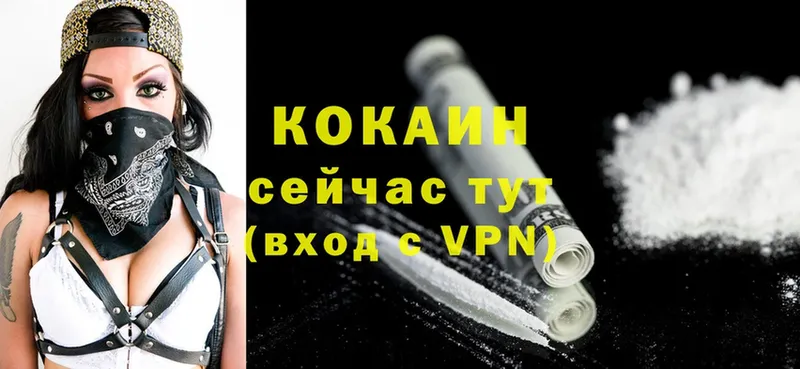 купить наркотики сайты  Новошахтинск  Cocaine 99% 