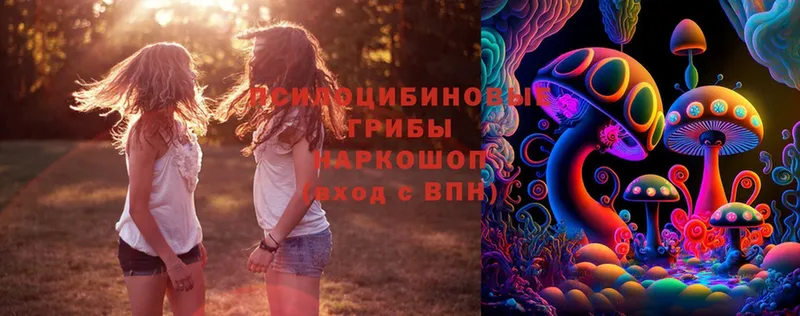 Галлюциногенные грибы Psilocybine cubensis  omg ТОР  Новошахтинск 